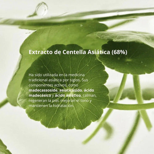 Beauty Of Joseon Centella Beauty Of Joseon Light On Serum Ce Sensitive Day/night