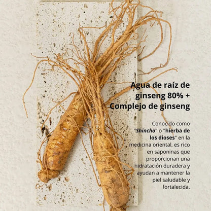 Beauty Of Joseon Beauty Of Joseon Ginseng Ginseng Essence Wa