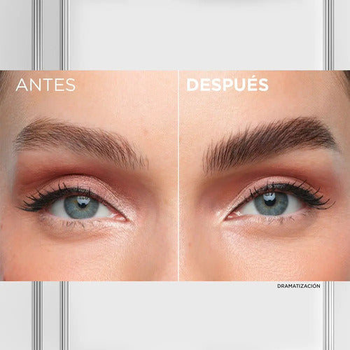 L'oréal Paris Infallible Brows Brow Lamination Transparent U Transparent