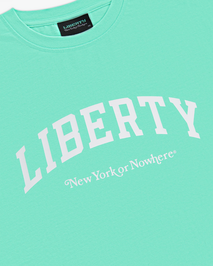 Liberty U Oversized Crop T-Shirt