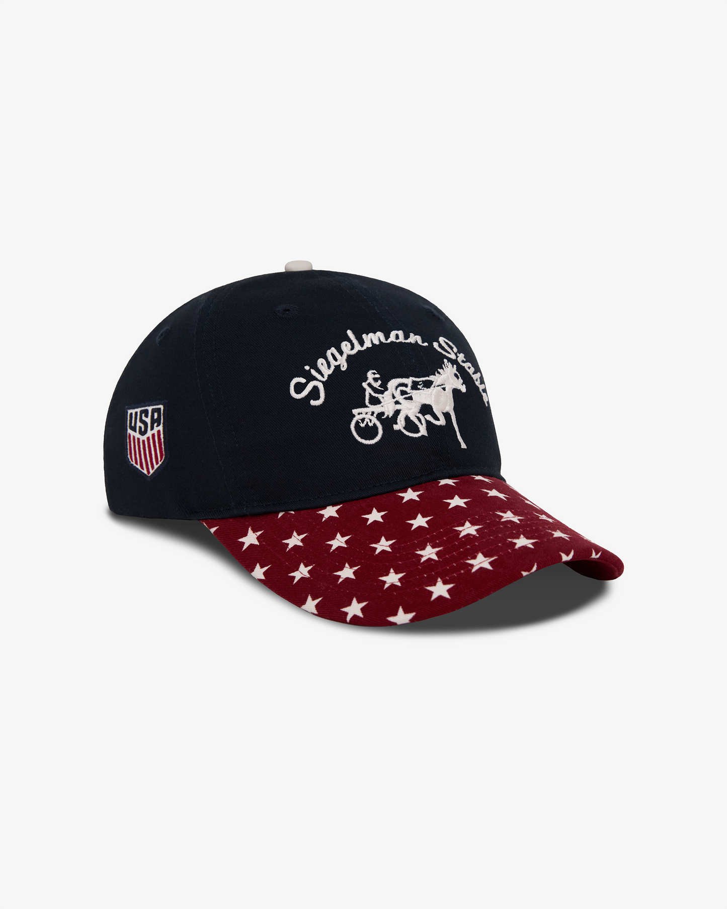 US Soccer Underdog Dad Hat