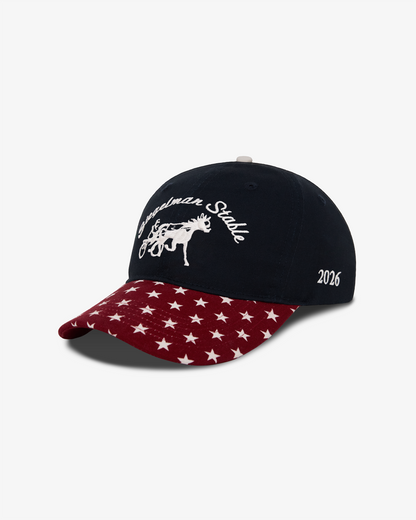 US Soccer Underdog Dad Hat