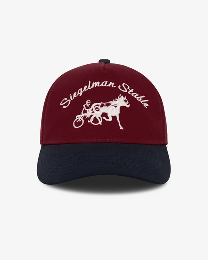 US Soccer Underdog Snapback