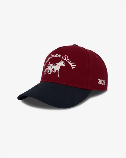 US Soccer Underdog Snapback