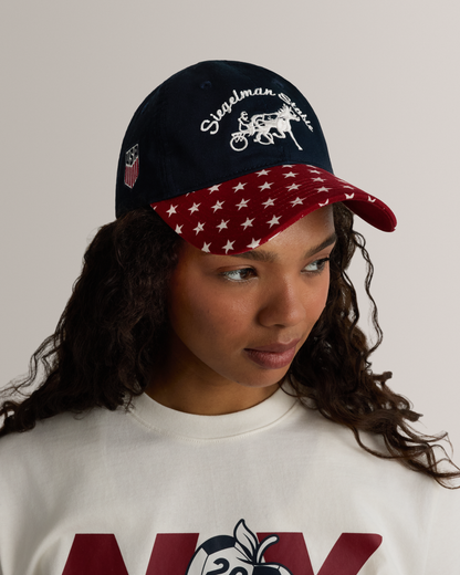 US Soccer Underdog Dad Hat